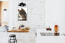 Load image into Gallery viewer, Golden Eagle Print by John Audubon
