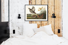 Load image into Gallery viewer, Pinnated Grous Print by John Audubon