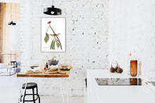 Load image into Gallery viewer, Louisiana Water Thrush Print by John Audubon