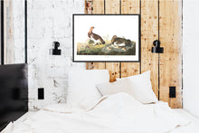 Load image into Gallery viewer, Willow Grous Print by John Audubon