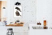 Load image into Gallery viewer, Labrador Falcon Print by John Audubon