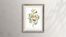 Load image into Gallery viewer, Swainson&#39;s Warbler Print by John Audubon