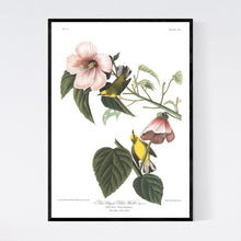 Load image into Gallery viewer, Blue Winged Yellow Warbler Print by John Audubon