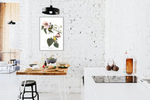 Load image into Gallery viewer, Blue Winged Yellow Warbler Print by John Audubon