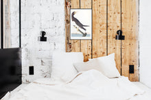 Load image into Gallery viewer, Booby Gannet Print by John Audubon