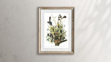 Load image into Gallery viewer, Mockingbird Print by John Audubon