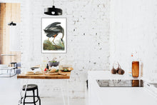 Load image into Gallery viewer, Great Blue Heron Print by John Audubon