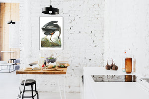 Great Blue Heron Print by John Audubon