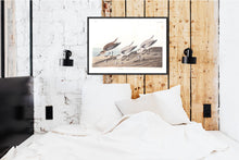 Load image into Gallery viewer, Sanderling Print by John Audubon