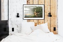 Load image into Gallery viewer, Long-Billed Curlew Print by John Audubon