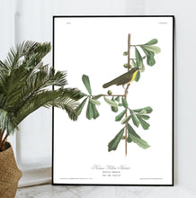 Load image into Gallery viewer, Roscoe&#39;s Yellow Throat Print by John Audubon