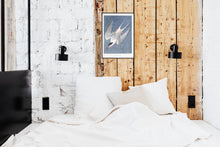 Load image into Gallery viewer, Roseate Tern Print by John Audubon