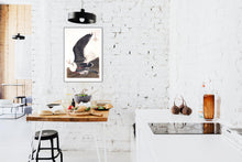 Load image into Gallery viewer, Black Backed Gull Print by John Audubon