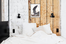 Load image into Gallery viewer, Black Backed Gull Print by John Audubon