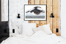 Load image into Gallery viewer, Uria Brunnichii Print by John Audubon