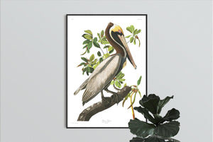 Brown Pelican Print by John Audubon