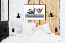 Load image into Gallery viewer, Wilson&#39;s Petrel Print by John Audubon