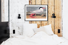 Load image into Gallery viewer, Cayenne Tern Print by John Audubon