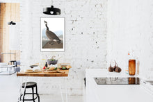 Load image into Gallery viewer, Hutchin&#39;s Barnacle Goose Print by John Audubon