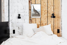 Load image into Gallery viewer, Hutchin&#39;s Barnacle Goose Print by John Audubon