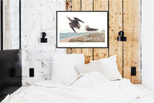 Load image into Gallery viewer, Schinz&#39;s Sandpiper Print by John Audubon