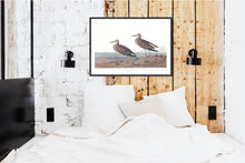 Load image into Gallery viewer, Pectoral Sandpiper Print by John Audubon