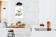 Load image into Gallery viewer, Prothonotary Warbler Print by John Audubon