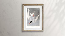 Load image into Gallery viewer, Great Tern Print by John Audubon