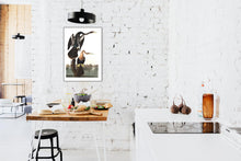 Load image into Gallery viewer, Black-Bellied Darter Print by John Audubon