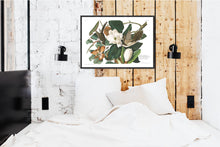 Load image into Gallery viewer, Black Billed Cuckoo Print by John Audubon