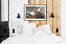 Load image into Gallery viewer, Gannet Print by John Audubon