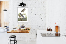 Load image into Gallery viewer, Yellow-Crowned Heron Print by John Audubon