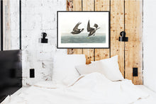 Load image into Gallery viewer, Least Stormy-Petrei Print by John Audubon