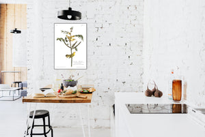Children's Warbler Print by John Audubon
