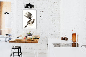 Black-Winged Hawk Print by John Audubon