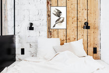 Load image into Gallery viewer, Black-Winged Hawk Print by John Audubon