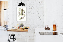 Load image into Gallery viewer, Chesnut-Backed, Black-Capt and Chesnut-Crowned Titmouse Print by John Audubon