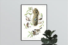 Load image into Gallery viewer, Chesnut-Backed, Black-Capt and Chesnut-Crowned Titmouse Print by John Audubon