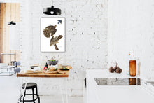 Load image into Gallery viewer, Stanley Hawk Print by John Audubon