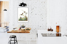 Load image into Gallery viewer, Winter Wren and Rock Wren Print by John Audubon