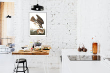 Load image into Gallery viewer, Common Buzzard Print by John Audubon