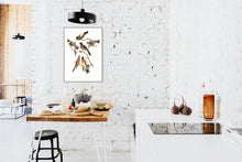 Load image into Gallery viewer, Evening Grosbeak and Spotted Grosbeak Print by John Audubon