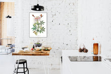 Load image into Gallery viewer, Ruff-Necked Humming Bird Print by John Audubon