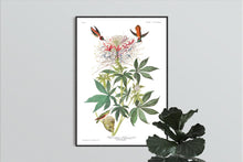 Load image into Gallery viewer, Ruff-Necked Humming Bird Print by John Audubon