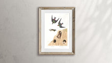 Load image into Gallery viewer, Bank Swallow and Violet-Green Swallow Print by John Audubon