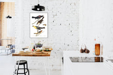 Load image into Gallery viewer, Nuttall&#39;s Starling Yellow-Headed Froopial and Bullock&#39;s Oriole Print by John Audubon