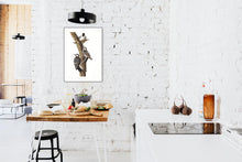 Load image into Gallery viewer, Red-Cockaded Woodpecker Print by John Audubon
