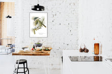 Load image into Gallery viewer, Crested Titmouse Print by John Audubon