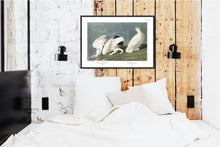 Load image into Gallery viewer, American Ptarmigan and White-Tailed Grous Print by John Audubon