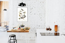 Load image into Gallery viewer, Little Tyrant Fly-Catcher Blue Mountain Warbler Short-Legged Pewee Small-Headed Fly-Catcher Bartram&#39;s Vireo and Rocky Mountain Fly-Catcher Print by John Audubon